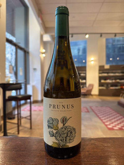 Gota Prunus Branco 2022