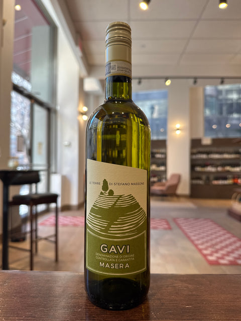 Stefano Massone Gavi